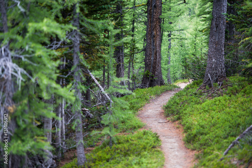 Numa Creek Trail photo