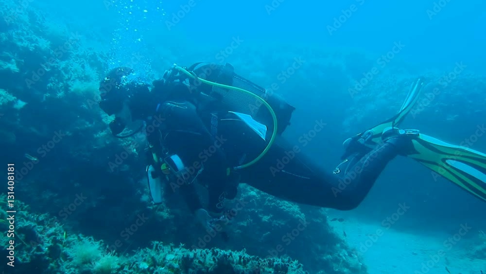 Underwater footage of a Scuba dive swimming by a reef
