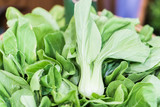 Group of organic bok choy on display at the farmer's market.