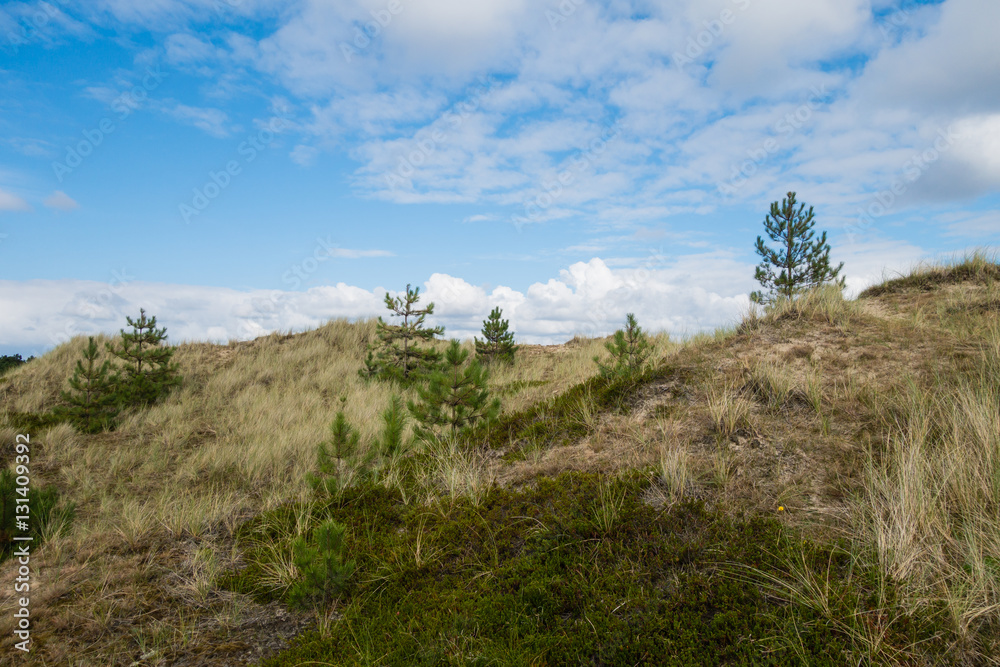 Dünenlandschaft Dünenlandschaft