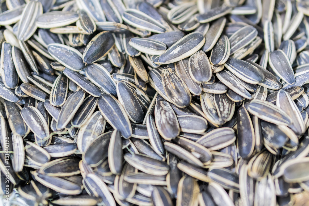 sun flowers seeds background