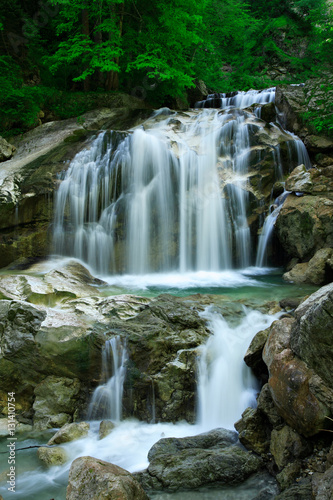Fototapeta Naklejka Na Ścianę i Meble -  Waterfall in Green Forest