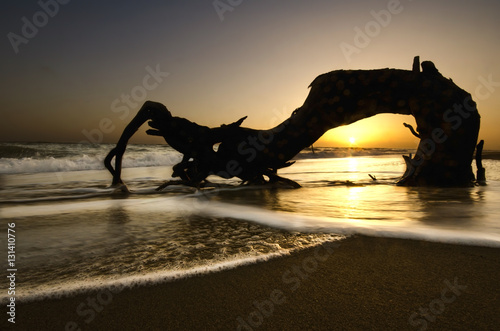 The sun sets over water with driftwood silhouetted