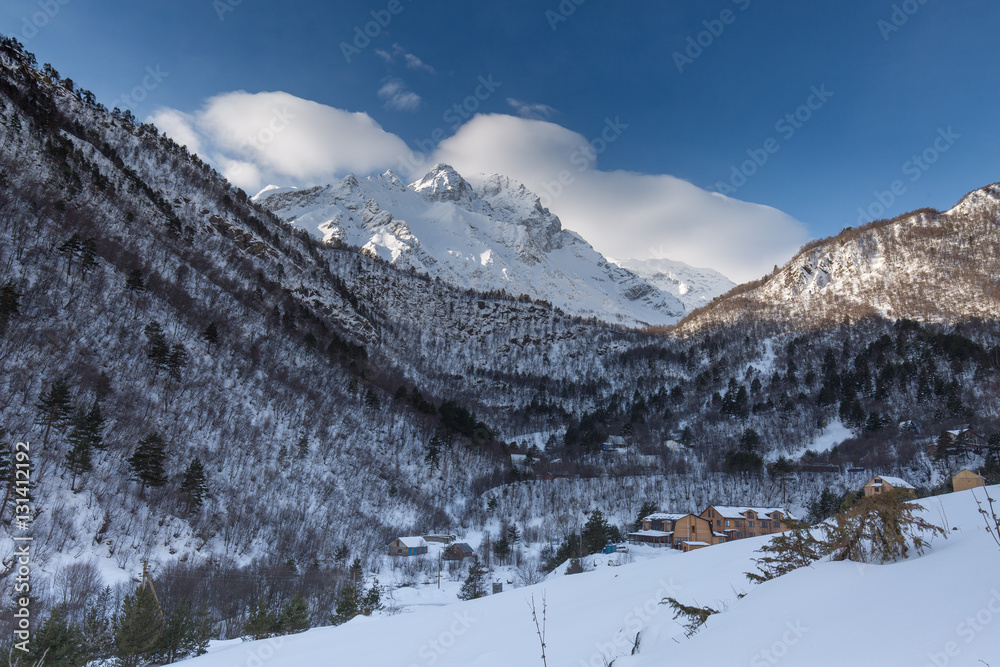 winter mountain landscape with pine and birch forest.