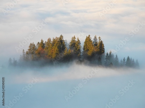 Bauminsel in Wolken