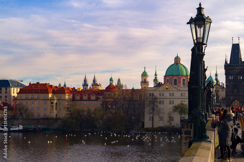 swans on river. Cloudy sky on Vltava Bridges in Prague Europe. Capital city of Czech Republic