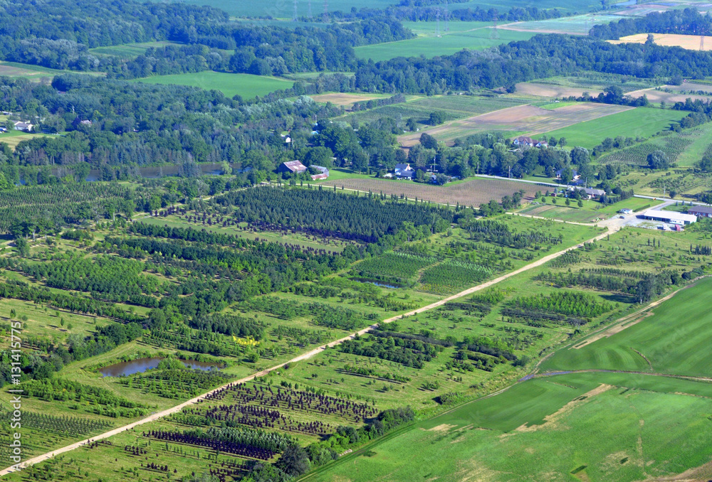 aerial view of a tree farm in an rural landscape