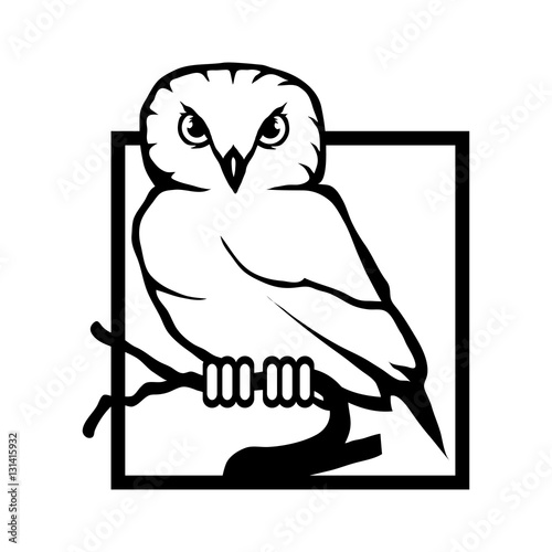Owl Logo