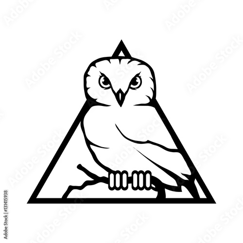Owl Logo