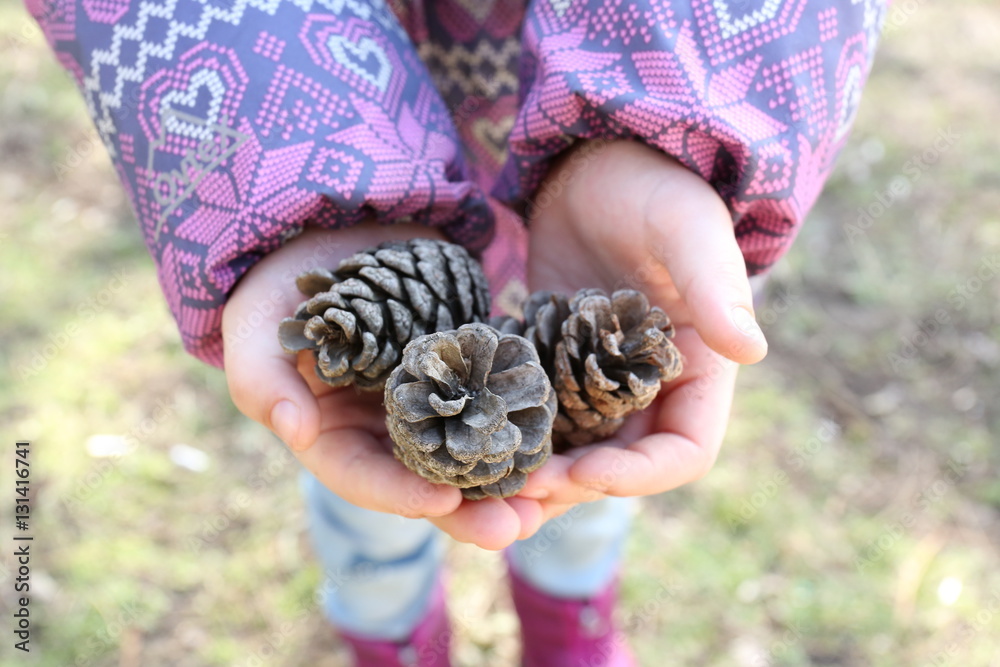nature in children's hands nature in children's hands