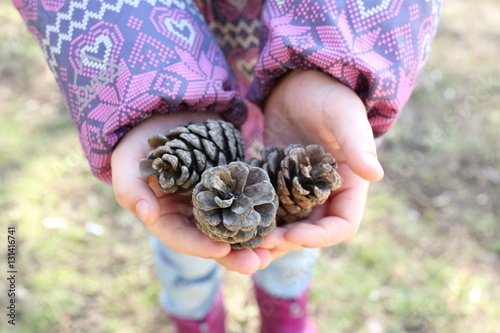 nature in children's hands