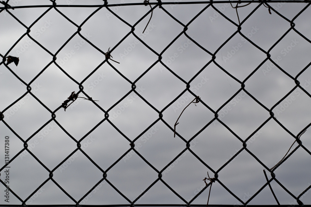 Naklejka premium wire mesh