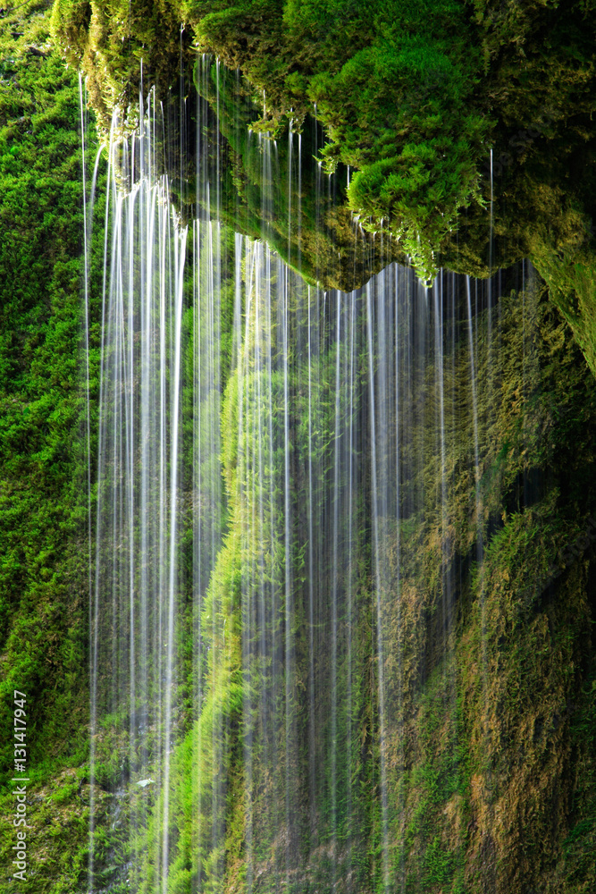 Fototapeta premium Moss Covered Waterfall