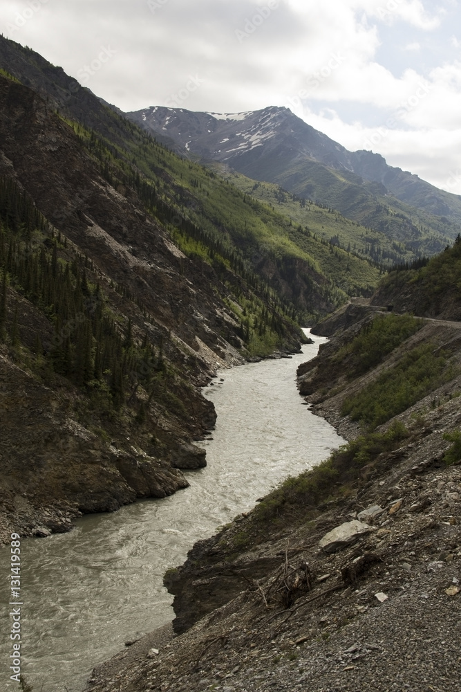 Meandering river in a green Alaskan canyon