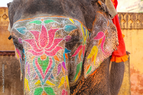 Portrait of painted elephant walking up to Amber Fort near Jaipu