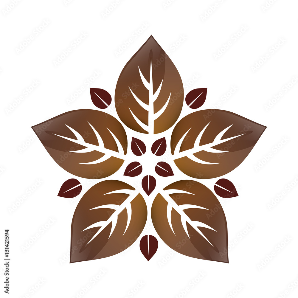 Leaves natural concept icon vector illustration graphic design Leaves natural concept icon vector illustration graphic design