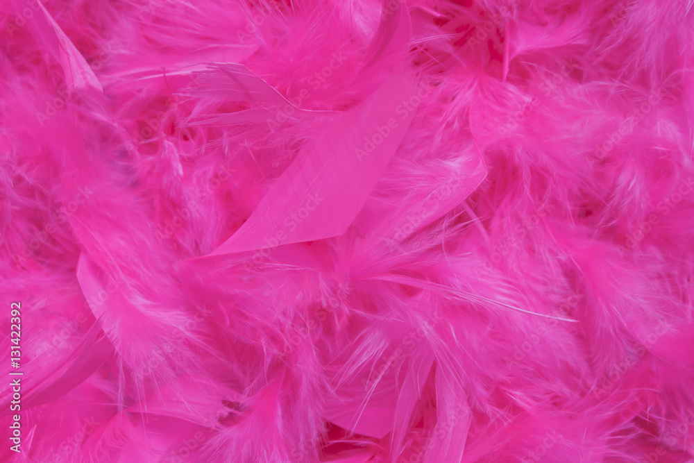 Pink feather background