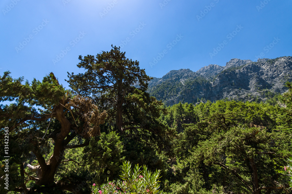 Samaria Gorge. Crete. Greece.