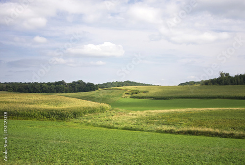 Midwest summer rural landscape. Rural landscape with cloudy sky over fields. Corn fields in Wisconsin, USA. © Maryna