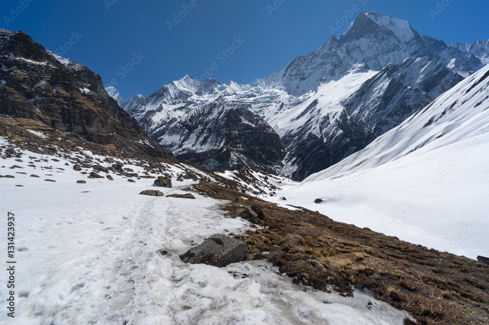 Trekking trail in front of Machapuchre mountain, Annapurna base camp Trekking trail in front of Machapuchre mountain, Annapurna base camp