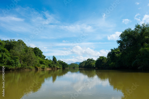 Mangrove forest reflection on green water  PhangNga  South Thailamd.