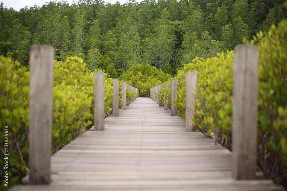 Walkway made from wood and mangrove field of Thung Prong Thong forest in Rayong at Thailand Walkway made from wood and mangrove field of Thung Prong Thong forest in Rayong at Thailand