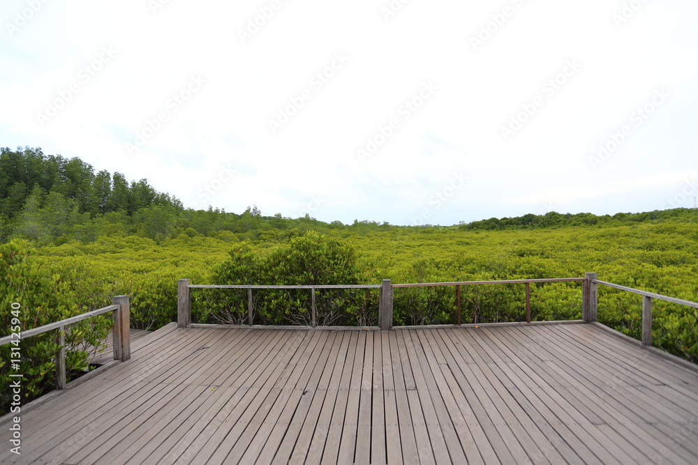 Walkway made from wood and mangrove field of Thung Prong Thong forest in Rayong at Thailand Walkway made from wood and mangrove field of Thung Prong Thong forest in Rayong at Thailand