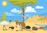 Australia wild life vector illustration.