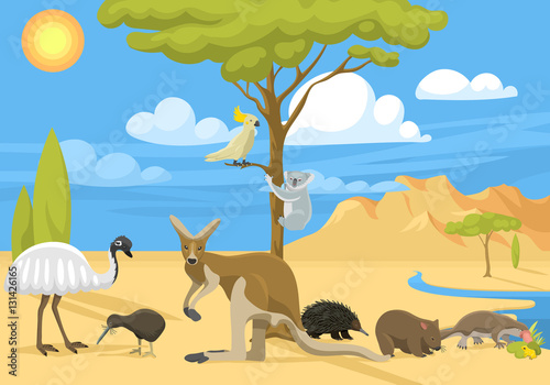 Australia wild life vector illustration.