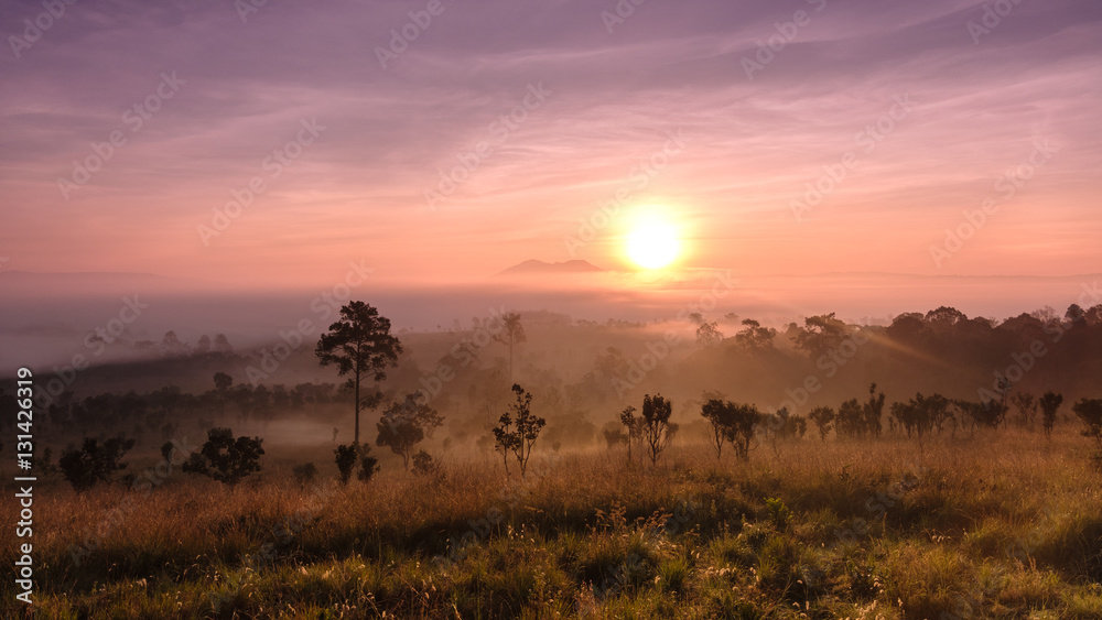 Sunrise at Thung Salaeng Luang National Park, Petchabun Province Sunrise at Thung Salaeng Luang National Park, Petchabun Province