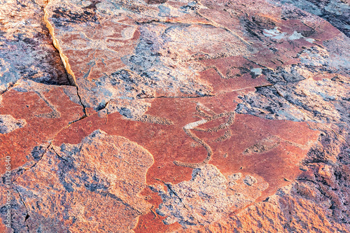 Ancient petroglyphs (rock engravings of 4th-2nd millennia BC) of swans carved on granite Onega Lake shore. Besov Nos cape, Karelia Republic, Russia. 