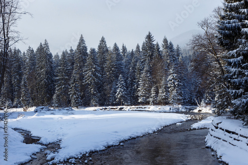Snowy forest and river in the High Tatras mountains.