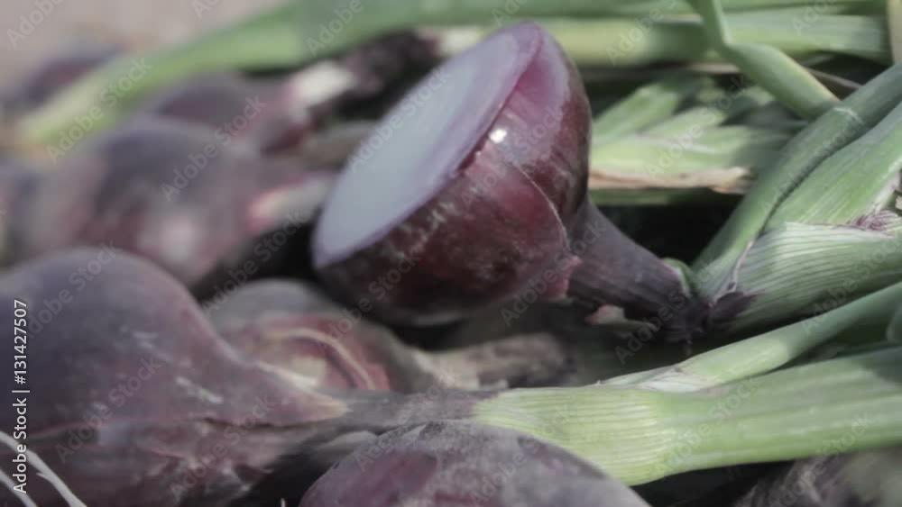 Fresh reaped crop of onions in field