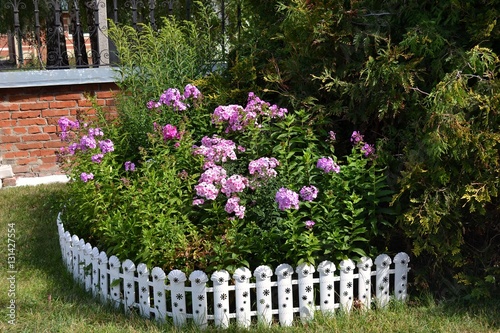 Красочный цветник