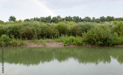 Beautiful nature on the river Syr Darya. Kazakhstan