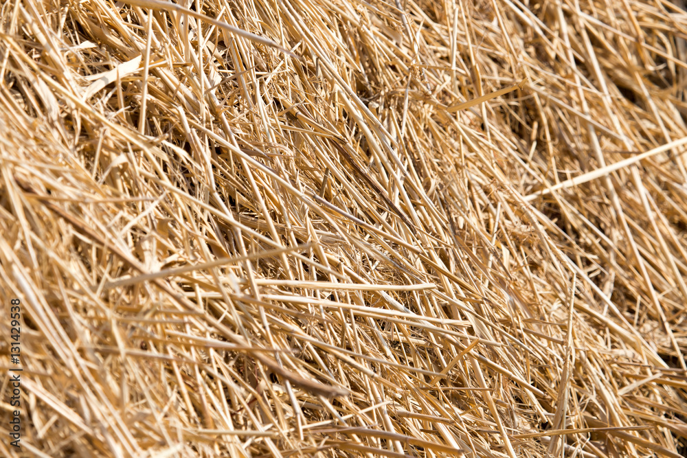 dry hay as background dry hay as background