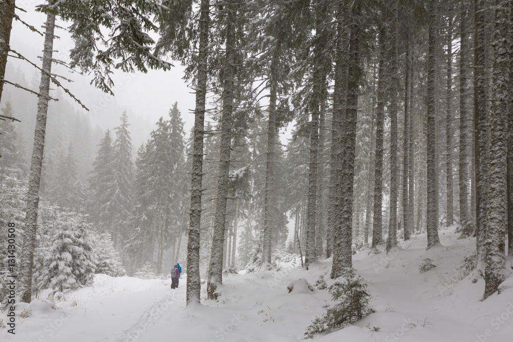 Winter scenery with heavy snow blizzard in the Alps Winter scenery with heavy snow blizzard in the Alps