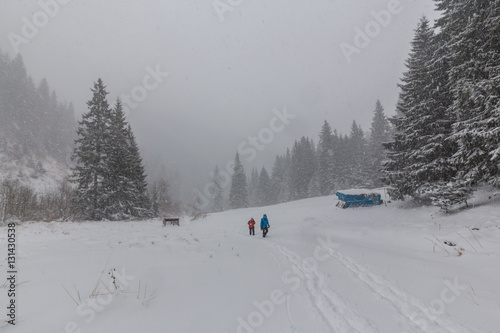 Winter scenery with heavy snow blizzard in the Alps