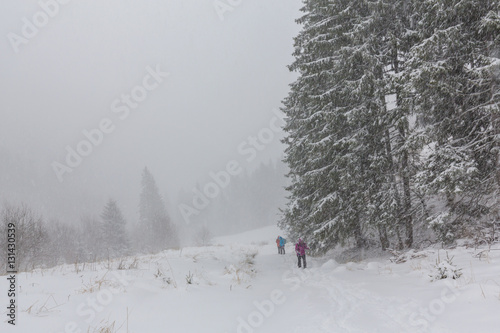 Winter scenery with heavy snow blizzard in the Alps