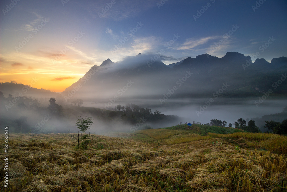 Obraz premium Mountain and mist in morning