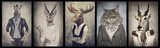 Animals in clothes. Concept graphic in vintage style. Zebra, dee