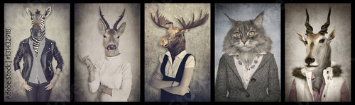 Fotografia Animals in clothes. Concept graphic in vintage style. Zebra, dee