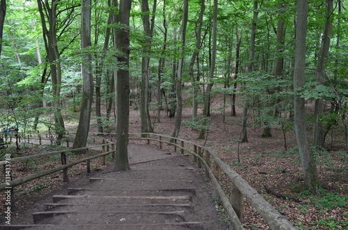 Woliński Park Narodowy/Wolinski Park Narodowy, West Pomerania, Poland
