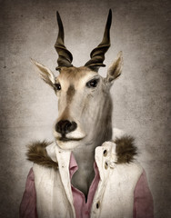 Fototapete Hipster Tiere Ziege in Kleidung Ölgemälde Stil  © cranach