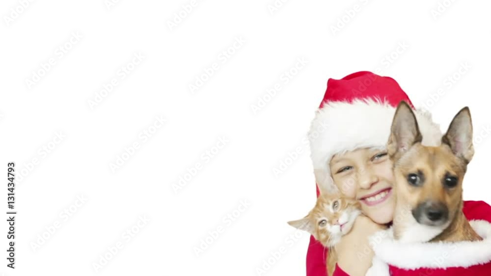 girl in the hat of Santa Claus and cat and dog on a white background girl in the hat of Santa Claus and cat and dog on a white background