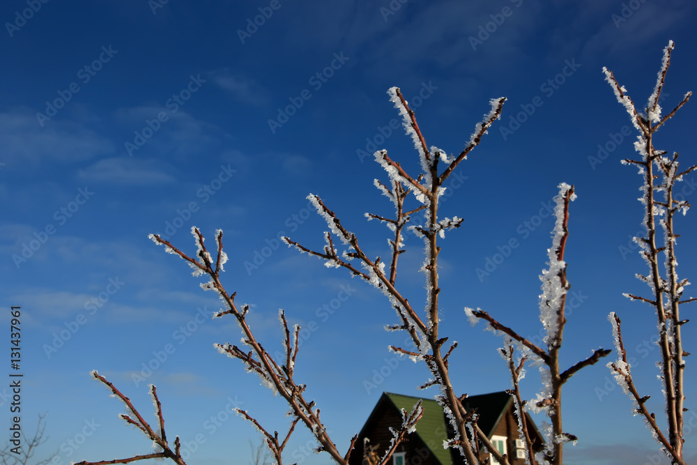 Obraz premium Зима в Астраханской Области Астрахань Россия