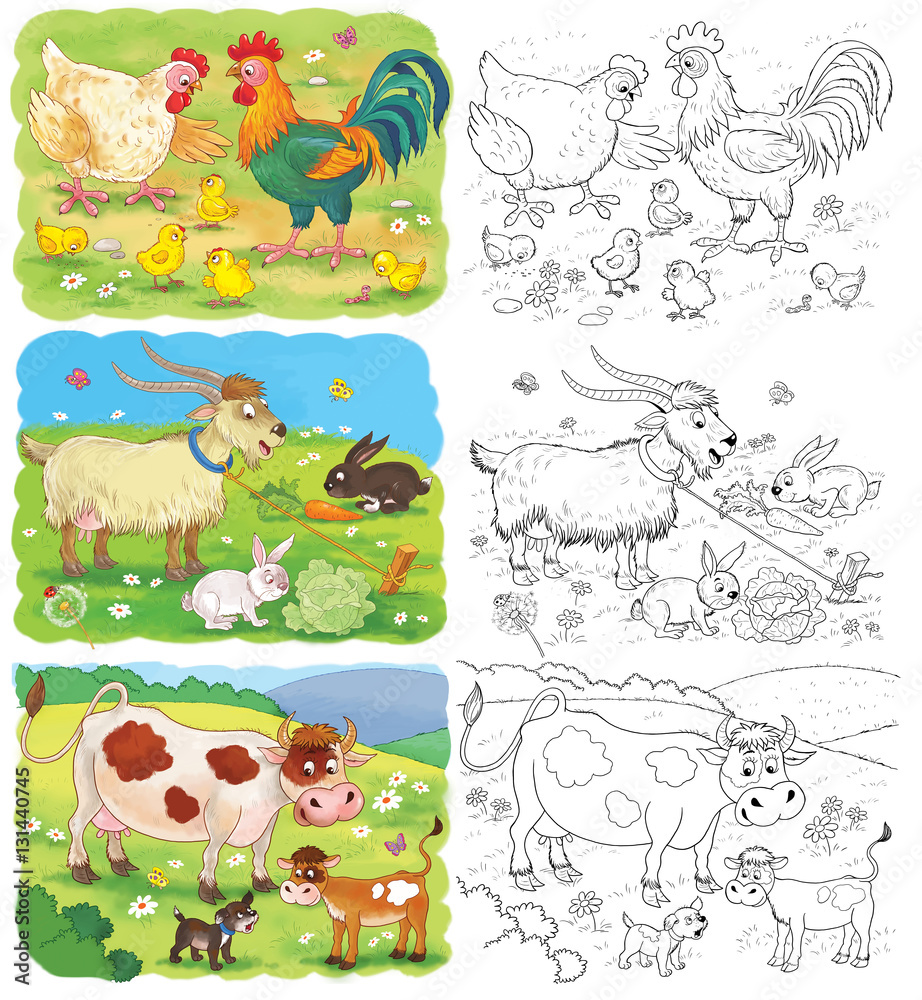 Set of cute farm animals. Coloring page. Cute hen, rooster, chicks, goat, rabbits,  cow and calf.