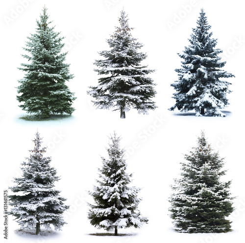 Christmas Tree collage © Andrey Volokhatiuk