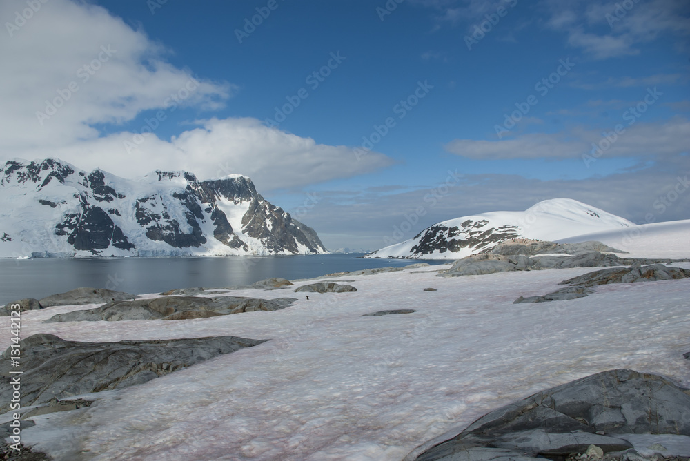 view of the Antarctic Peninsula to neighboring islands with a fl
