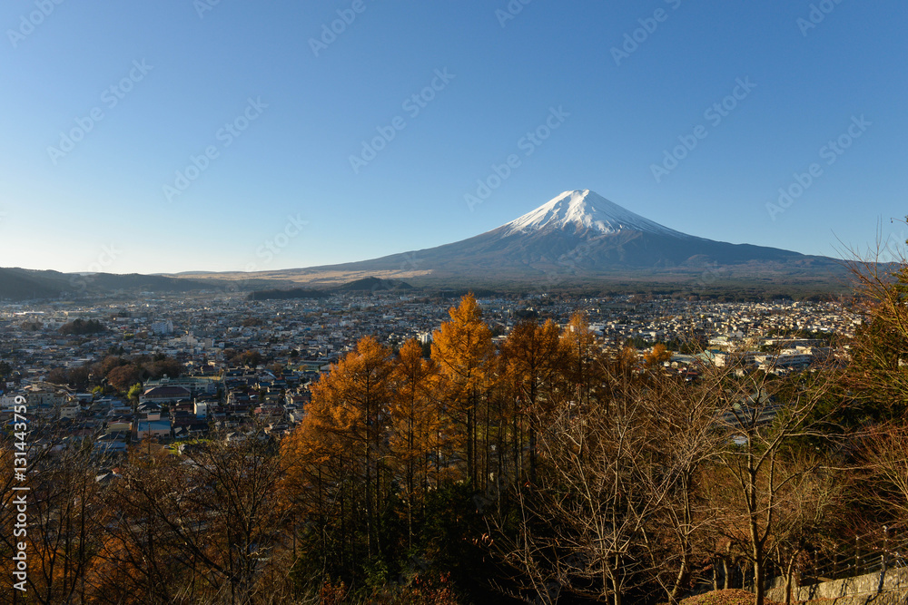 Beautiful Mount Fuji under blue sky and leaves change color
